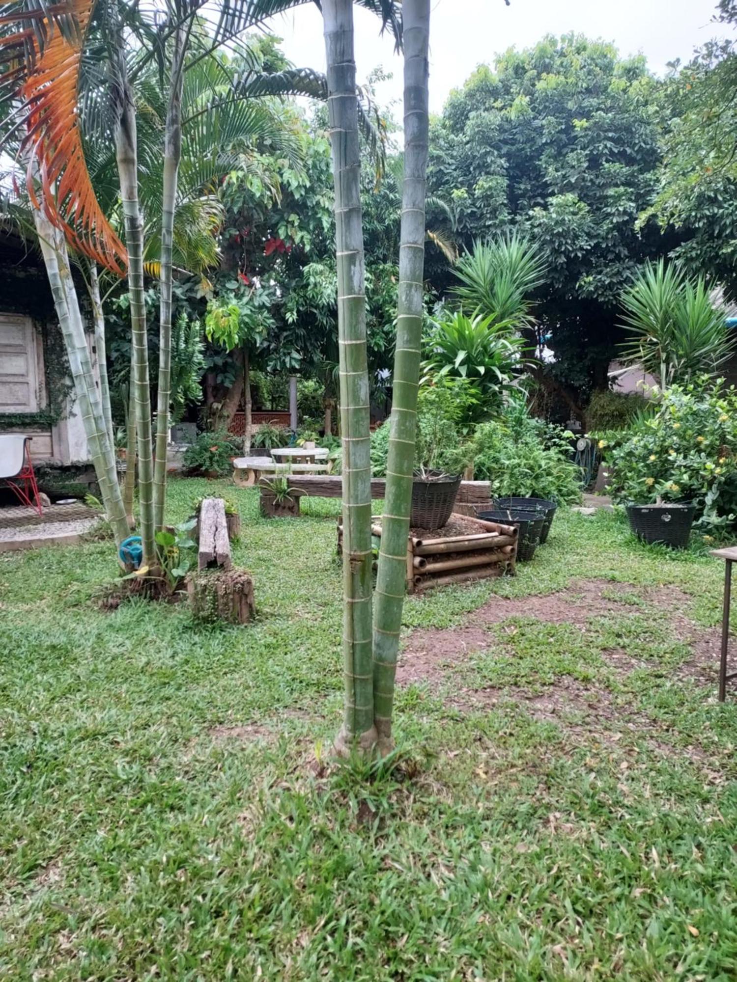 Kwanlah Homestay Mae Chaem Zewnętrze zdjęcie