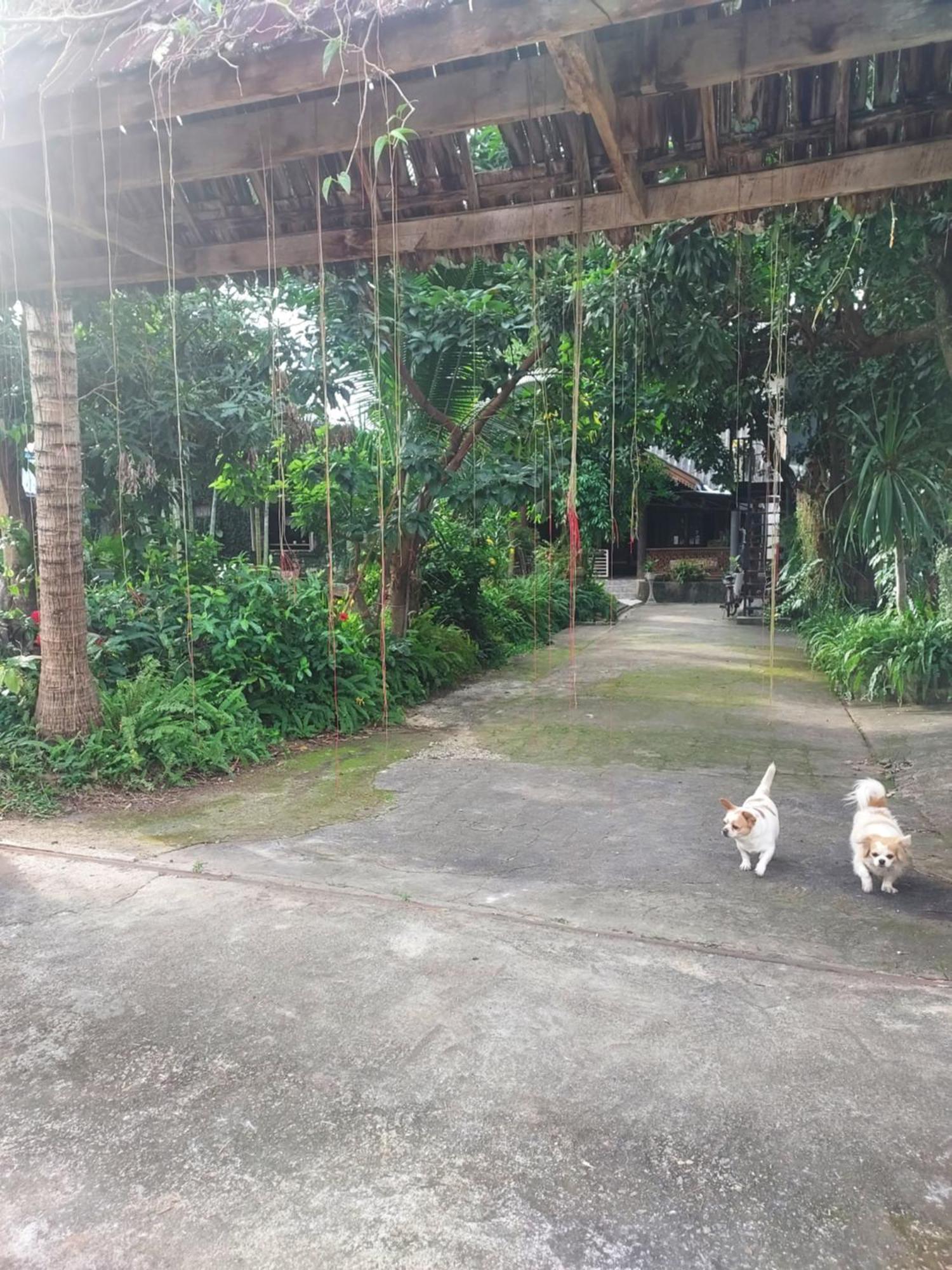 Kwanlah Homestay Mae Chaem Zewnętrze zdjęcie